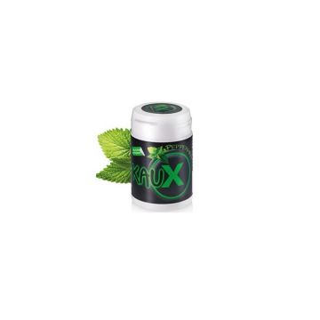KauX Dental Kaugummi mit Xylitol (40pcs)